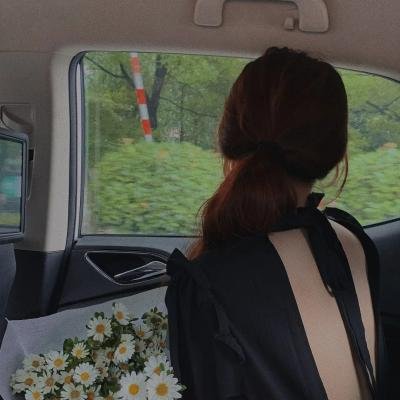 蜂蜜与四叶草第一季